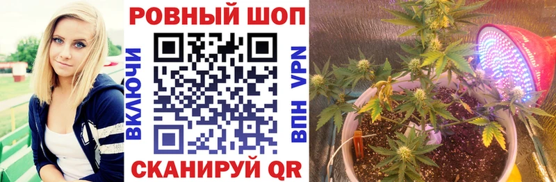 Все наркотики Грязовец Кокаин МАРИХУАНА Меф Амфетамин ГАШ