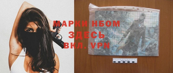 PSILOCYBIN Гусиноозёрск