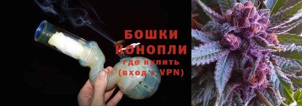 PSILOCYBIN Гусиноозёрск