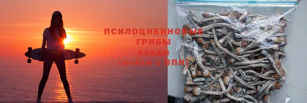 мдма Гусев