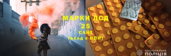 PSILOCYBIN Гусиноозёрск