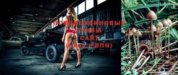 мдма Гусев