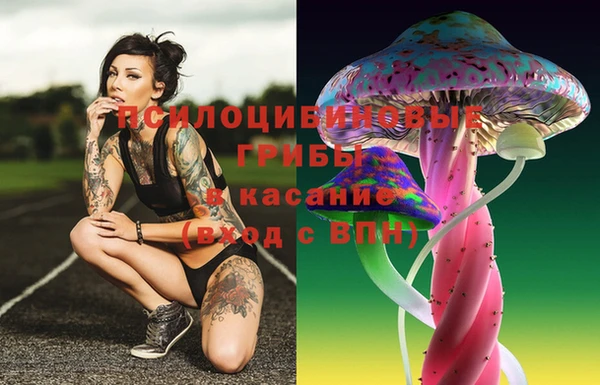 spice Гусь-Хрустальный