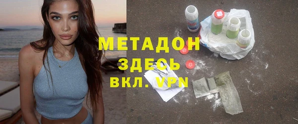 индика Горнозаводск