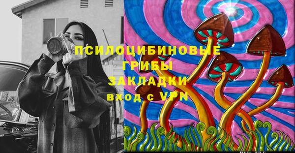 spice Гусь-Хрустальный