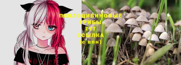 гашишное масло Долгопрудный