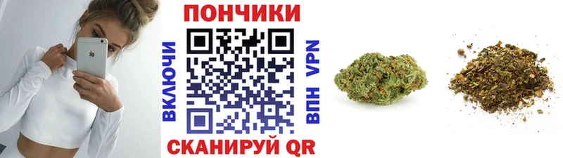 KRAKEN ссылки  продажа наркотиков  Грязовец  МАРИХУАНА Amnesia 